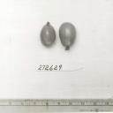 Click for 1 image(s) for this accession. FRUIT